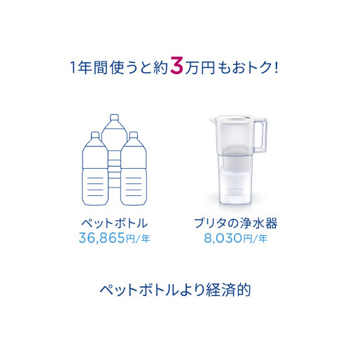 リクエリマクストラプロ　カートリッジ１個付