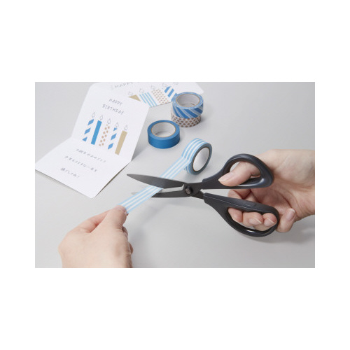 ハサミ　サクサ　ストレート・フッ素刃　ブラック