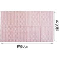 不織布ダスター　１０枚入　３セット