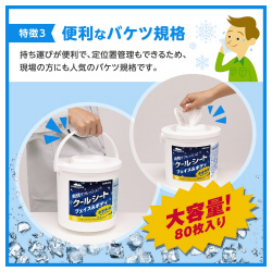 クールリフレロング　詰替　８０枚　ボディシート