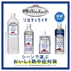ソルティライチ　５００ｍｌ　４８本入