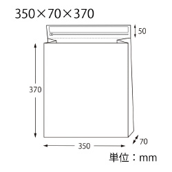 宅配袋　クッション付きレコード用　未晒１０枚Ｘ１０