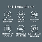 LED テープライト T1