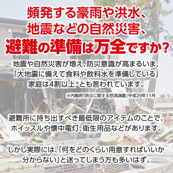 家庭用防災セット 4人用 非常食セット付