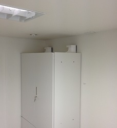 不動王ホールド（1箱2個入）