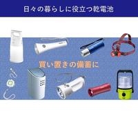 アルカリ電池単２　ＬＲ１４Ｌ　１００Ｐ　１００本入