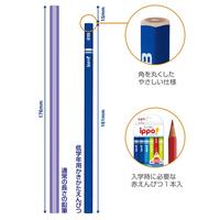 低学年書き方鉛筆Ｓ三角プレーンＢ０１　２Ｂ