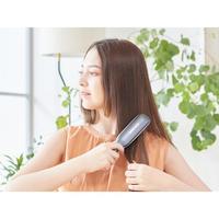 リセットブラシ　ＫＢＥ－２２００／Ｈ