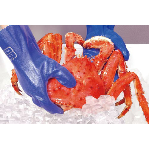 Ｎｏ．６００　ニトリルモデル　Ｌ