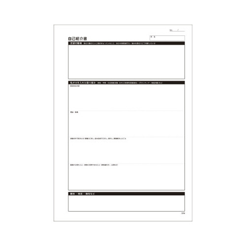 自分を活かす履歴書セット