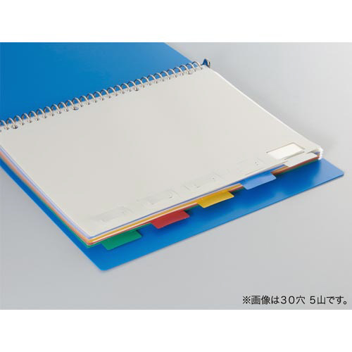 見出し位置自在　ＰＰ製仕切カード３０穴６山