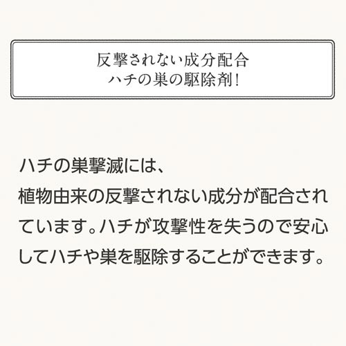 ハチの巣撃滅　４８０ｍＬ