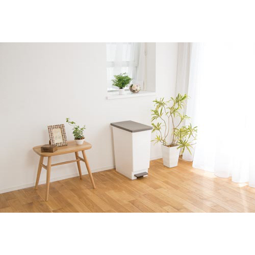 ネオカラー分別　スリムペダル　４５　ブラウン×８