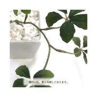 人工観葉植物シュガーバインＷＨＴＳサイズ