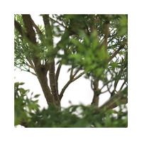 人工観葉植物ティーリーフＭサイズ