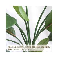 人工観葉植物ストレリチアＬサイズ