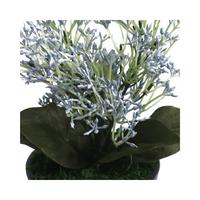人工観葉植物ブルースキニアミニサイズ