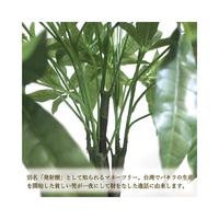 人工観葉植物パキラＬサイズ