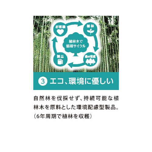 リビィペーパータオル中判２１０枚×４０個　１－４梱