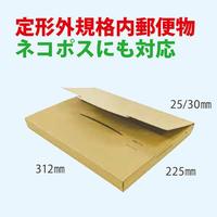 ポストインカートン　Ａ４　５０枚入