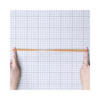 オーバンド　５００ｇ透明袋　＃８２０　アメ