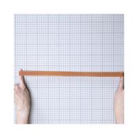 オーバンド　５００ｇ透明袋　＃１２０　アメ