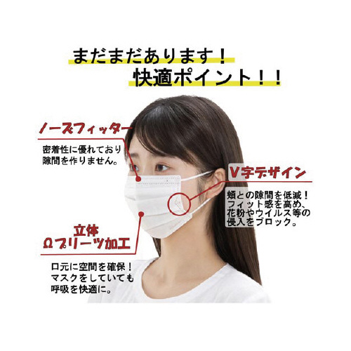 プリーツマスク　小さめ　４０枚入（個包装）×１０