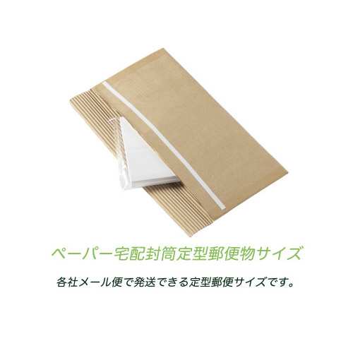 ペーパー宅配封筒定形郵便２３５×１０５ｍｍ１０枚