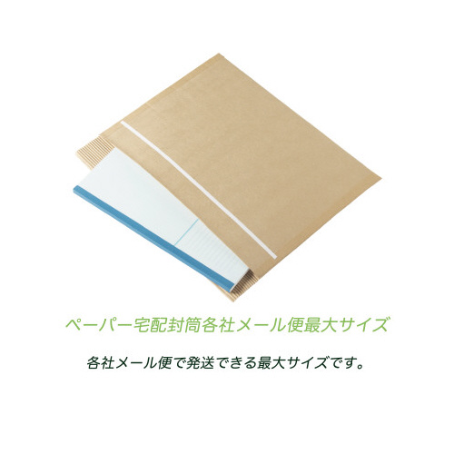 ペーパー宅配封筒定形郵便３１０×２２０ｍｍ６枚