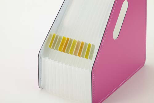 ドキュメントスタンドＡ４タテ１３Ｐ　ピンク　３冊入