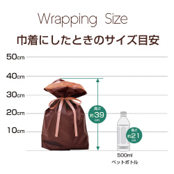 巾着袋　ブラウン　３１０×４３０＋１２０　１Ｐ