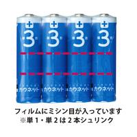 アルカリ乾電池エコノミータイプ単２形　１０本×１０
