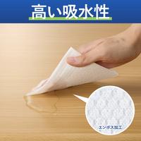 くり返し使える丈夫なペーパータオル（本体）１００枚
