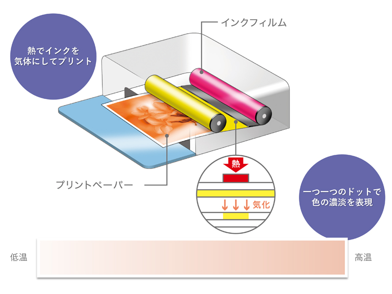 コンパクトフォトプリンター セルフィー CP1500 （ホワイト）