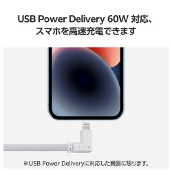 ｉＰｈｏｎｅ充電ケーブル　フラット０．１ｍ　白