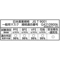 快適ガードマスク　小さめサイズ６０枚入