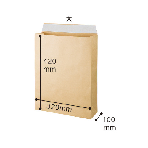 取り出しやすい宅配袋１２０ｇ大　ラミ　１００枚×３