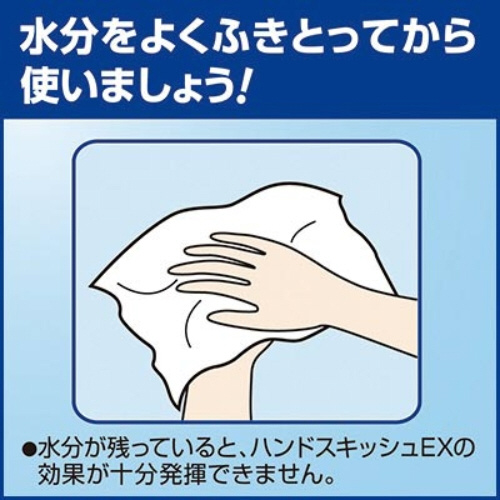 ハンドスキッシュＥＸ　詰替用　４．５Ｌ