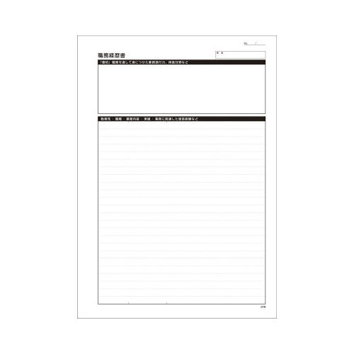 自分を活かす履歴書セット