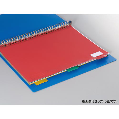 見出し位置自在　ＰＰ製仕切カード３０穴６山
