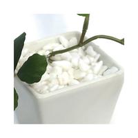 人工観葉植物シュガーバインＷＨＴＳサイズ