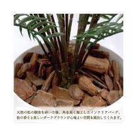 人工観葉植物タマシダＭサイズ