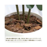 人工観葉植物シェフレラＬサイズ