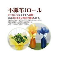 不織布　Ｊロール　うす紫