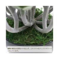 人工観葉植物グリーンセダムミニサイズ