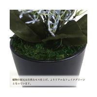 人工観葉植物ブルースキニアミニサイズ