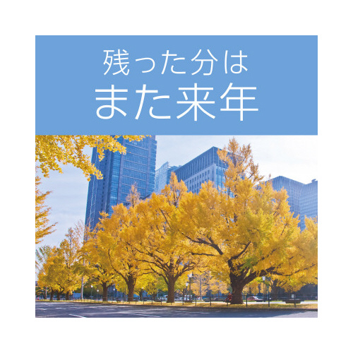 アースノーマット取替ボトル１８０日無香料３本入×４