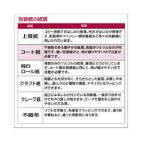 包装紙　らくがきサンタ緑　半才判