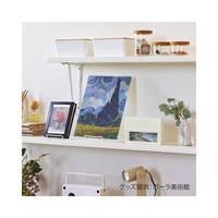 ＣｏｌｌｅｌコンパクトＳケースＡ６ホワイトＸ３