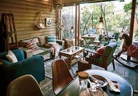 チェア　ＣＬ－８９４ＷＡＬ　ウォルナット　２脚